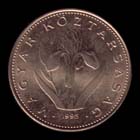 20 forint